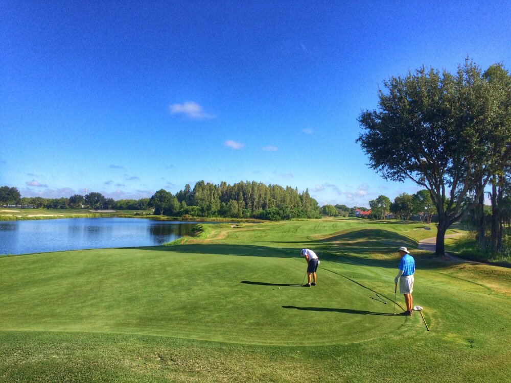 Best Golf Courses in Tampa Bay